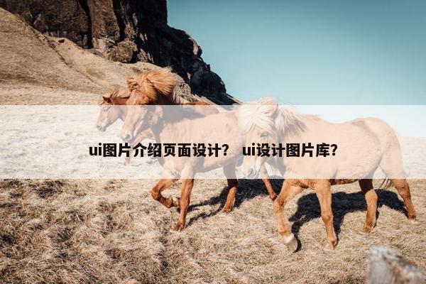 ui图片介绍页面设计？ ui设计图片库？