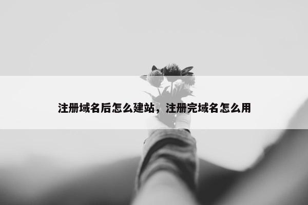 注册域名后怎么建站，注册完域名怎么用