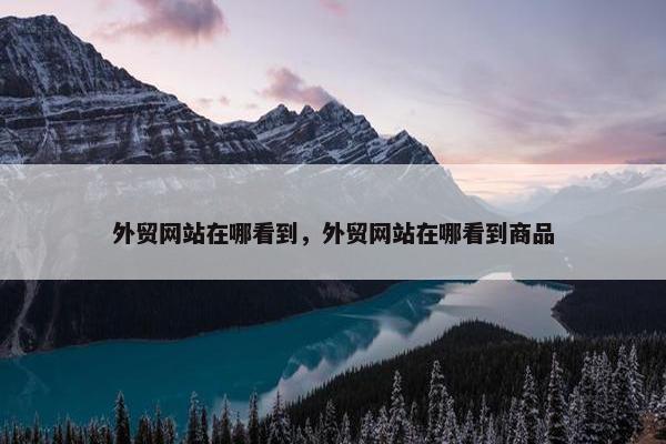 外贸网站在哪看到，外贸网站在哪看到商品
