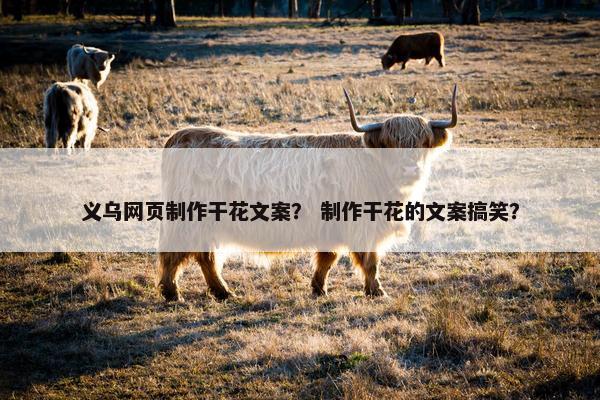 义乌网页制作干花文案？ 制作干花的文案搞笑？