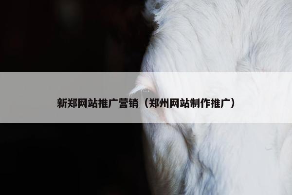 新郑网站推广营销（郑州网站制作推广）