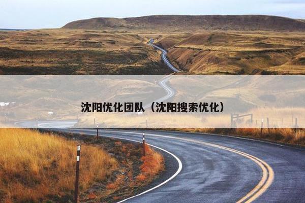 沈阳优化团队（沈阳搜索优化）