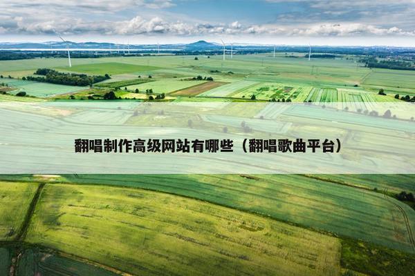 翻唱制作高级网站有哪些（翻唱歌曲平台）