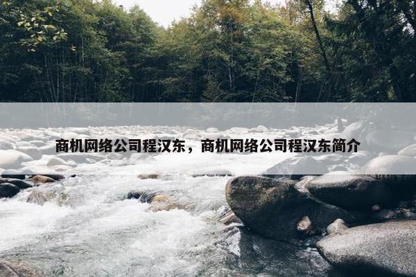 商机网络公司程汉东，商机网络公司程汉东简介