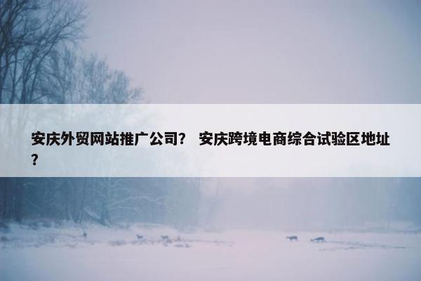 安庆外贸网站推广公司？ 安庆跨境电商综合试验区地址？