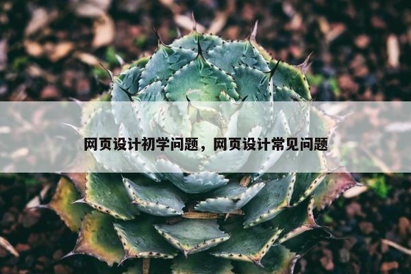 网页设计初学问题，网页设计常见问题