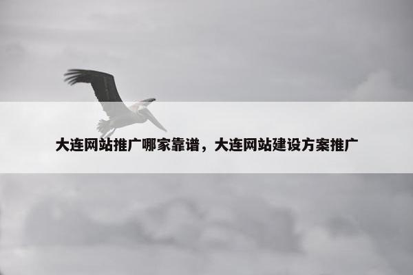 大连网站推广哪家靠谱，大连网站建设方案推广