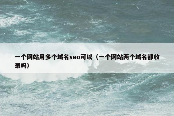一个网站用多个域名seo可以（一个网站两个域名都收录吗）
