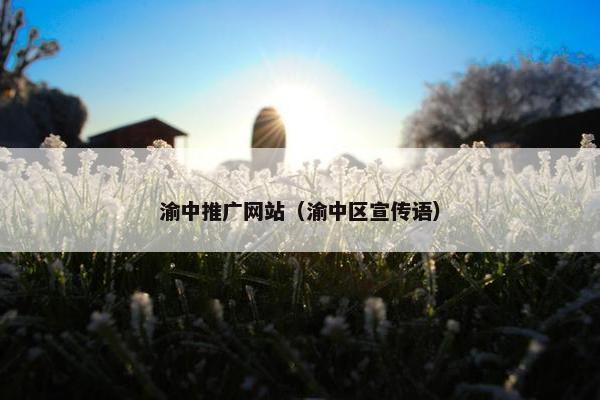 渝中推广网站（渝中区宣传语）
