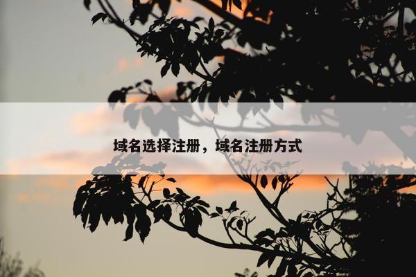 域名选择注册，域名注册方式