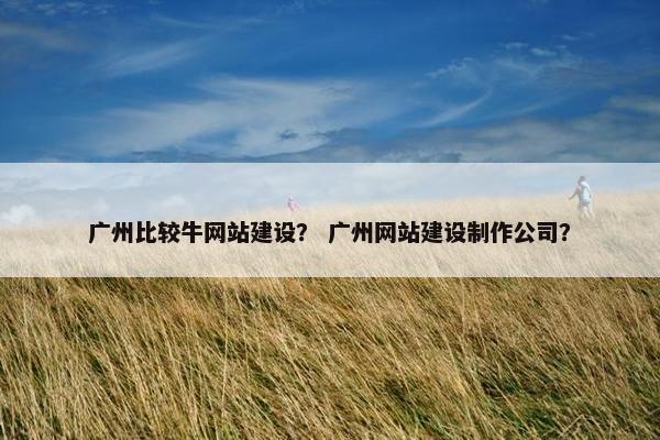 广州比较牛网站建设？ 广州网站建设制作公司？
