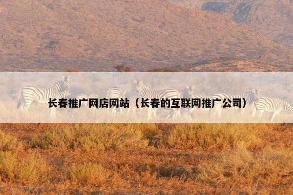 长春推广网店网站（长春的互联网推广公司）