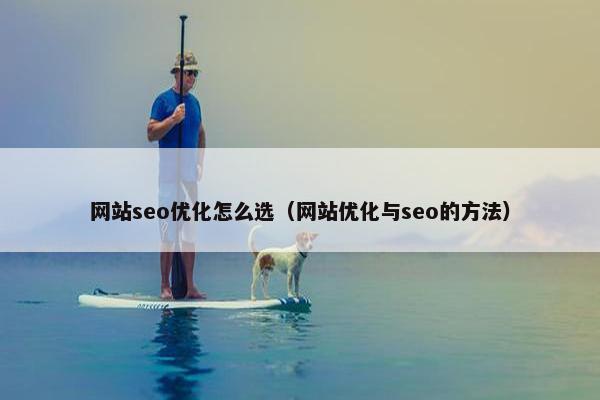 网站seo优化怎么选（网站优化与seo的方法）