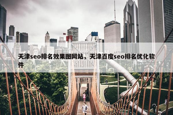 天津seo排名效果图网站，天津百度seo排名优化软件