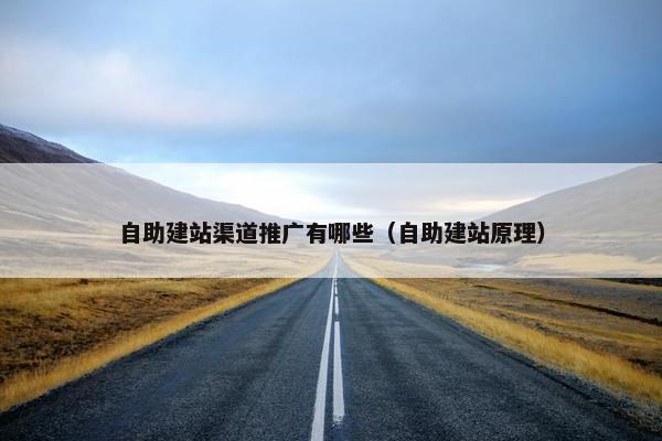 自助建站渠道推广有哪些（自助建站原理）