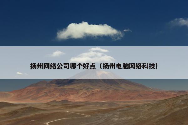 扬州网络公司哪个好点（扬州电脑网络科技）
