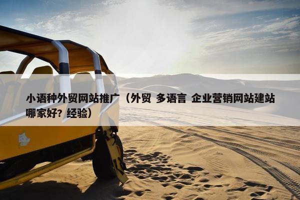 小语种外贸网站推广（外贸 多语言 企业营销网站建站哪家好? 经验）