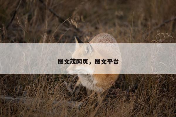 图文茂网页，图文平台