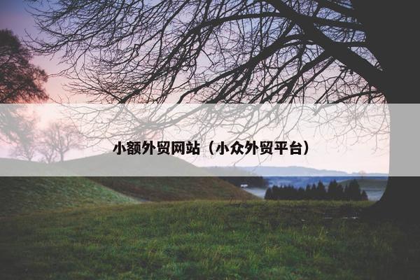 小额外贸网站（小众外贸平台）