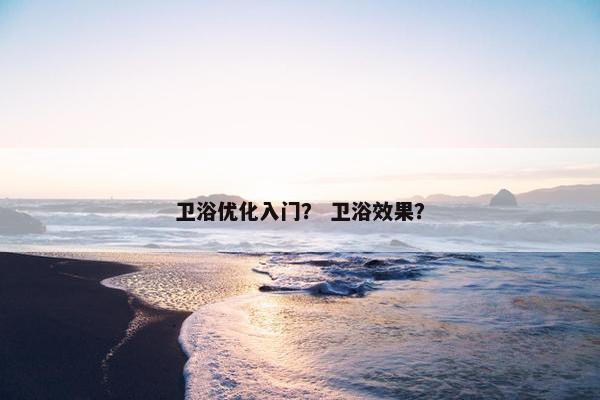 卫浴优化入门？ 卫浴效果？