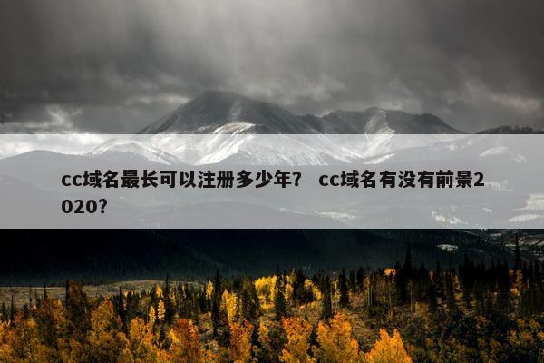 cc域名最长可以注册多少年？ cc域名有没有前景2020？