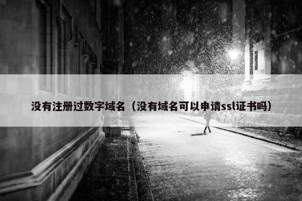 没有注册过数字域名（没有域名可以申请ssl证书吗）