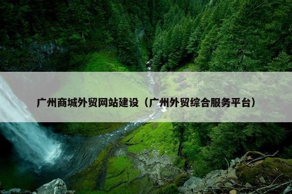 广州商城外贸网站建设（广州外贸综合服务平台）