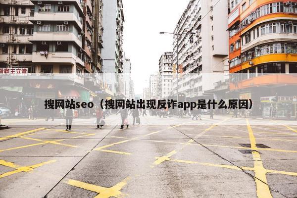 搜网站seo（搜网站出现反诈app是什么原因）