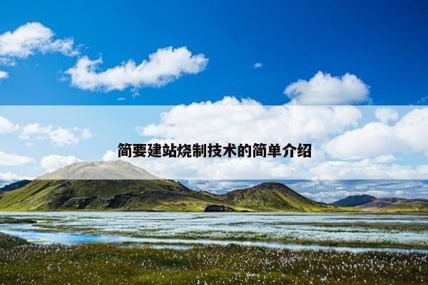 简要建站烧制技术的简单介绍