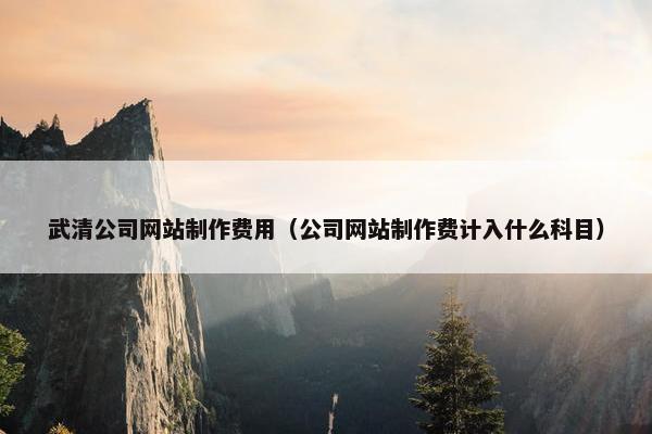 武清公司网站制作费用（公司网站制作费计入什么科目）