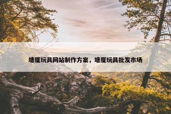 塘厦玩具网站制作方案，塘厦玩具批发市场