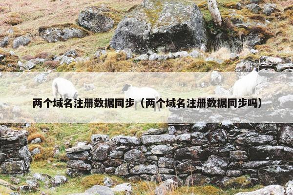 两个域名注册数据同步（两个域名注册数据同步吗）