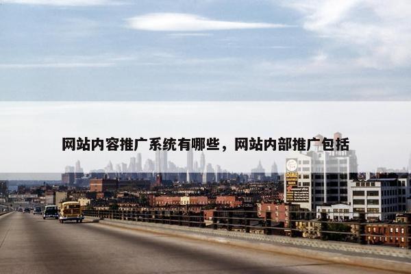 网站内容推广系统有哪些，网站内部推广包括