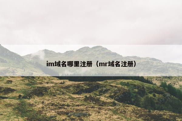 im域名哪里注册（mr域名注册）