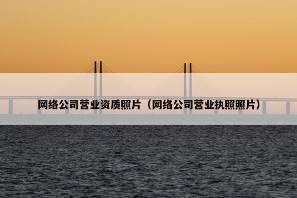 网络公司营业资质照片（网络公司营业执照照片）