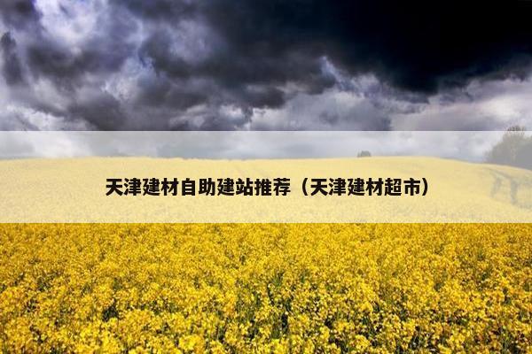 天津建材自助建站推荐（天津建材超市）