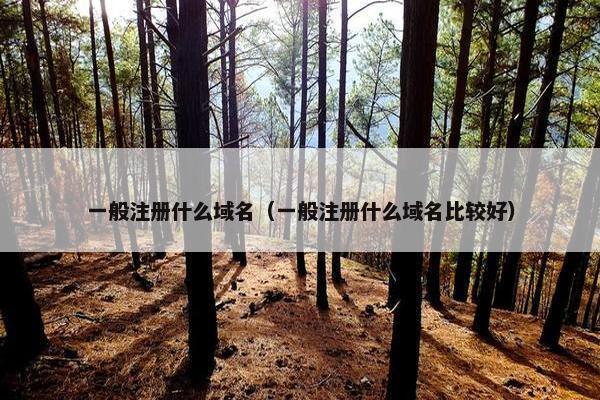 一般注册什么域名（一般注册什么域名比较好）