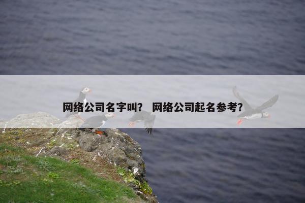 网络公司名字叫？ 网络公司起名参考？