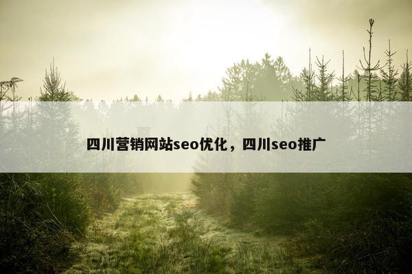 四川营销网站seo优化，四川seo推广