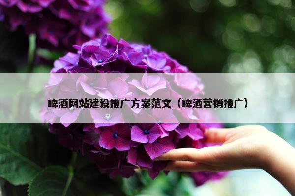 啤酒网站建设推广方案范文（啤酒营销推广）
