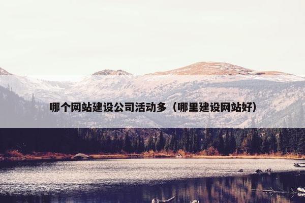 哪个网站建设公司活动多（哪里建设网站好）