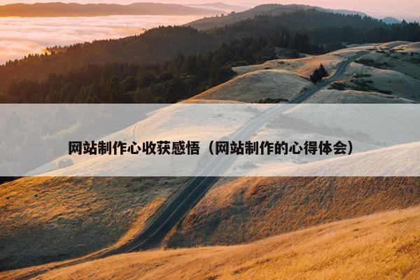 网站制作心收获感悟（网站制作的心得体会）