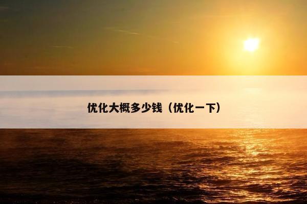优化大概多少钱（优化一下）