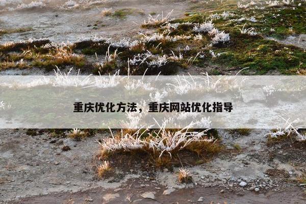 重庆优化方法，重庆网站优化指导
