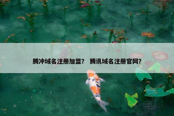 腾冲域名注册加盟？ 腾讯域名注册官网？
