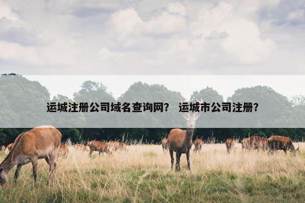 运城注册公司域名查询网？ 运城市公司注册？