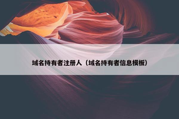 域名持有者注册人（域名持有者信息模板）