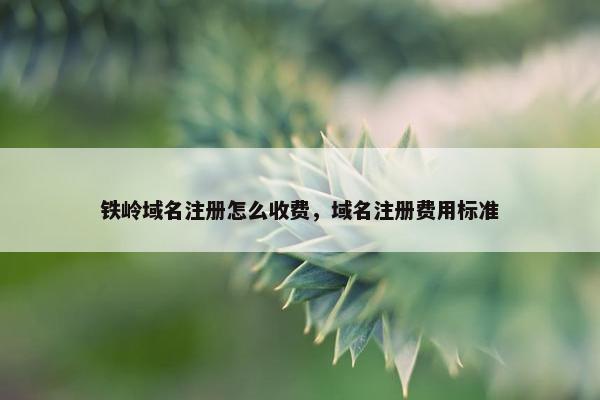 铁岭域名注册怎么收费，域名注册费用标准