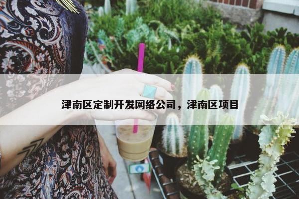 津南区定制开发网络公司，津南区项目