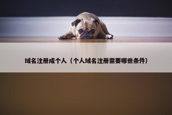 域名注册成个人（个人域名注册需要哪些条件）